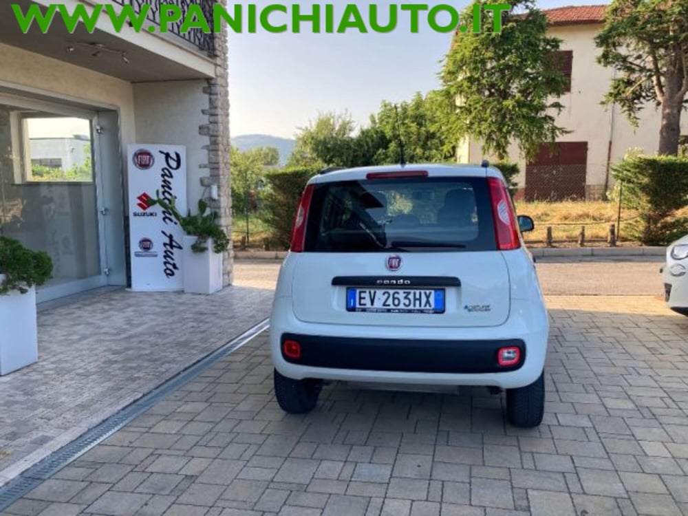 Fiat Panda usata a Arezzo (6)