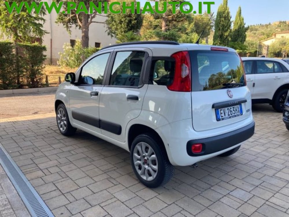 Fiat Panda usata a Arezzo (7)