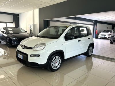 Fiat Panda 1.0 FireFly S&amp;S Hybrid City Cross del 2023 usata a Ferrara