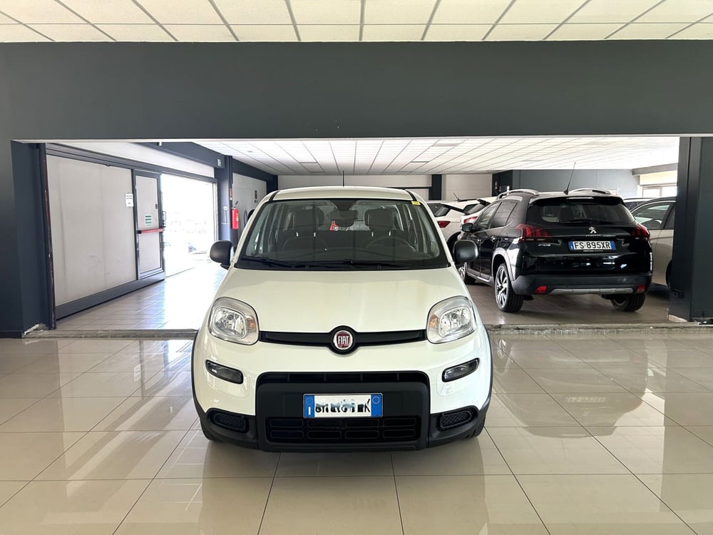 Fiat Panda usata a Ferrara (2)