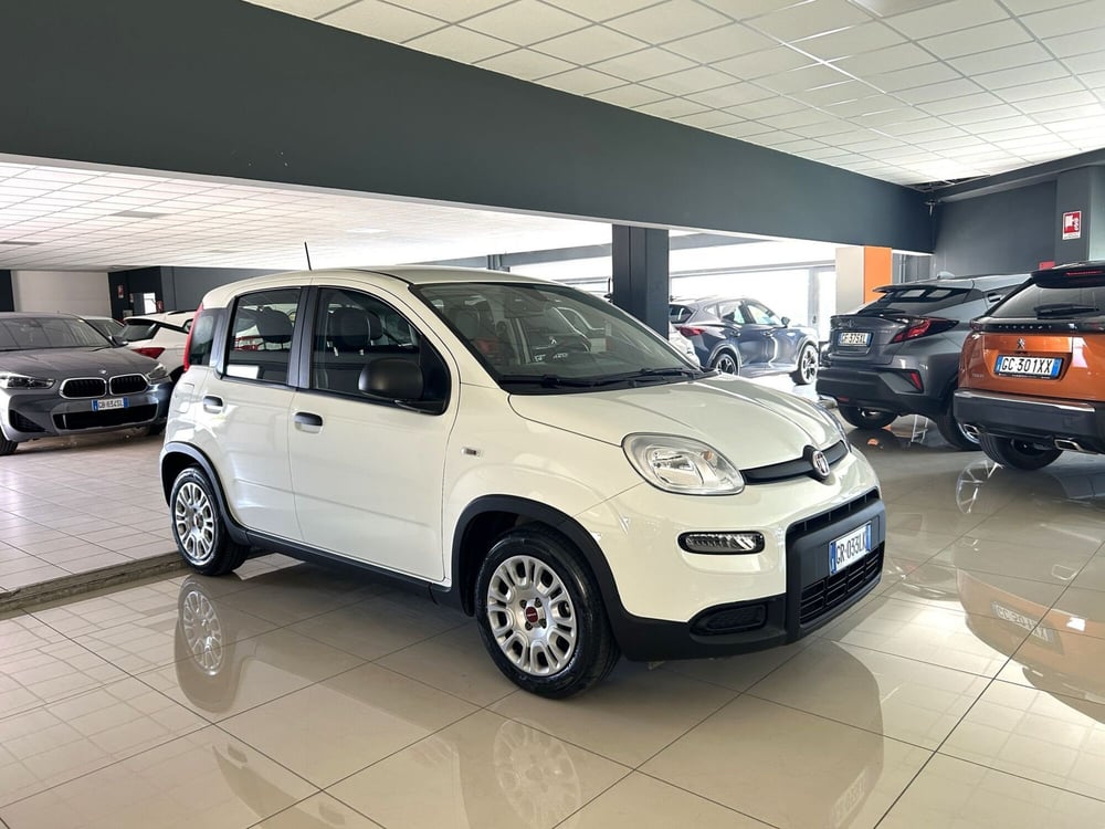 Fiat Panda usata a Ferrara (3)