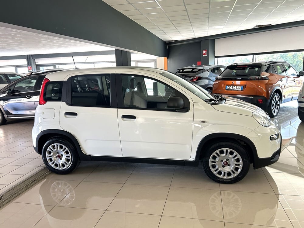 Fiat Panda usata a Ferrara (4)