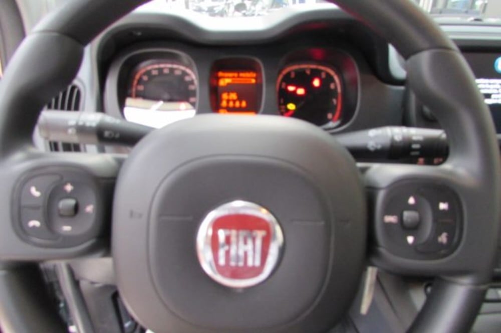 Fiat Panda Cross usata a Milano (11)