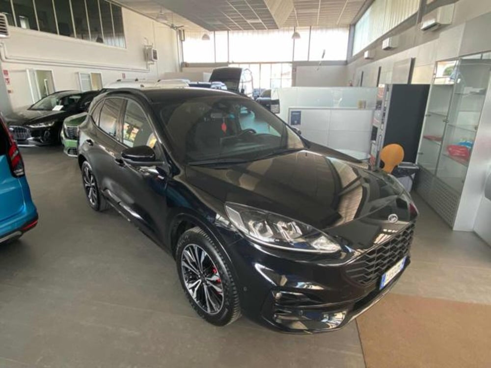 Ford Kuga usata a Bologna (2)