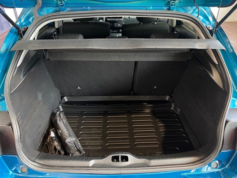 Citroen C4 Cactus usata a Torino (9)