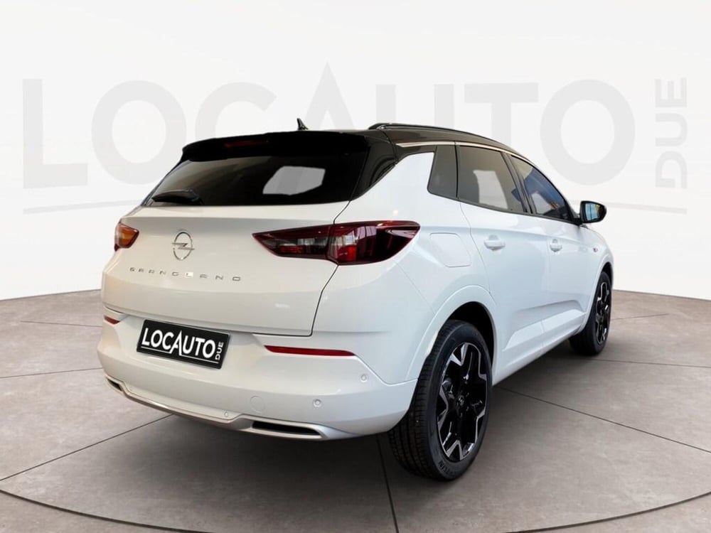 Opel Grandland nuova a Torino (4)