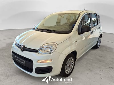 Fiat Panda 1.2 EasyPower Easy del 2020 usata a Bari