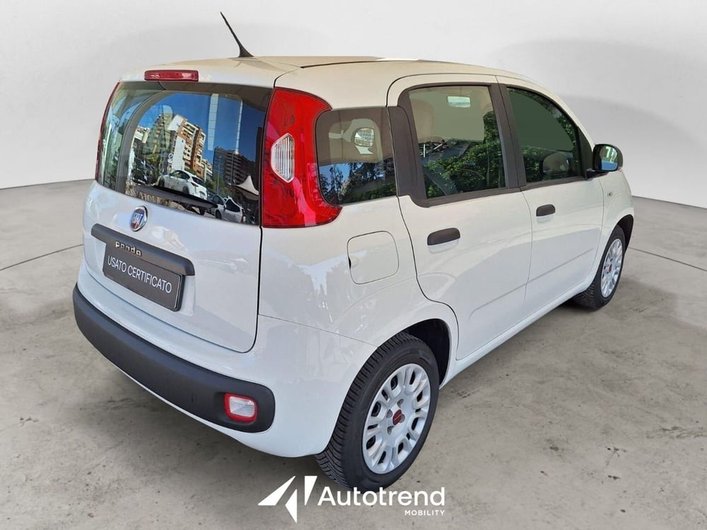 Fiat Panda usata a Bari (2)