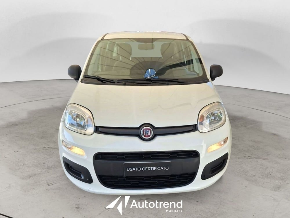 Fiat Panda usata a Bari (3)