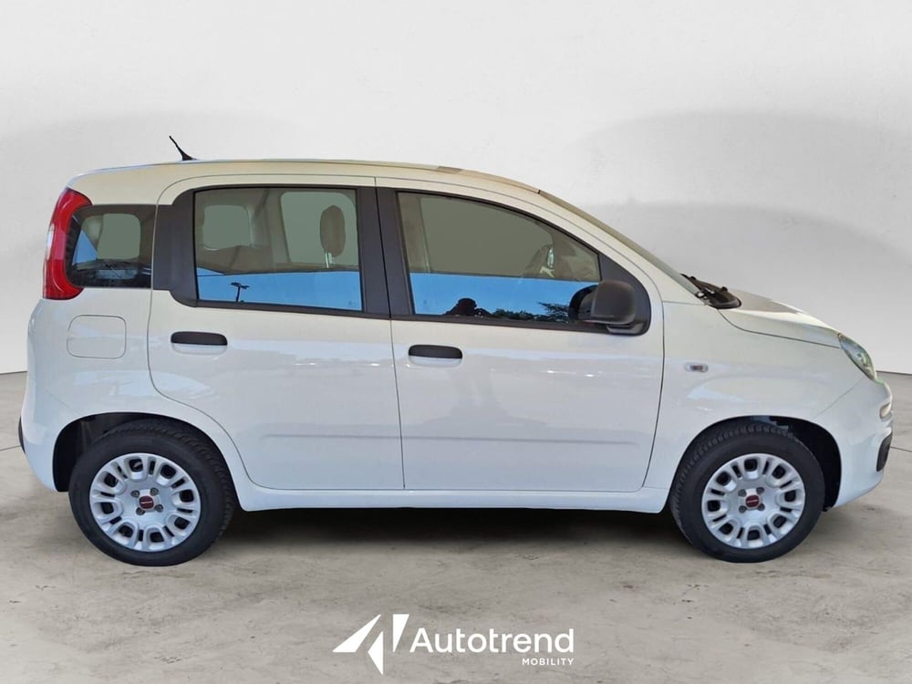 Fiat Panda usata a Bari (5)
