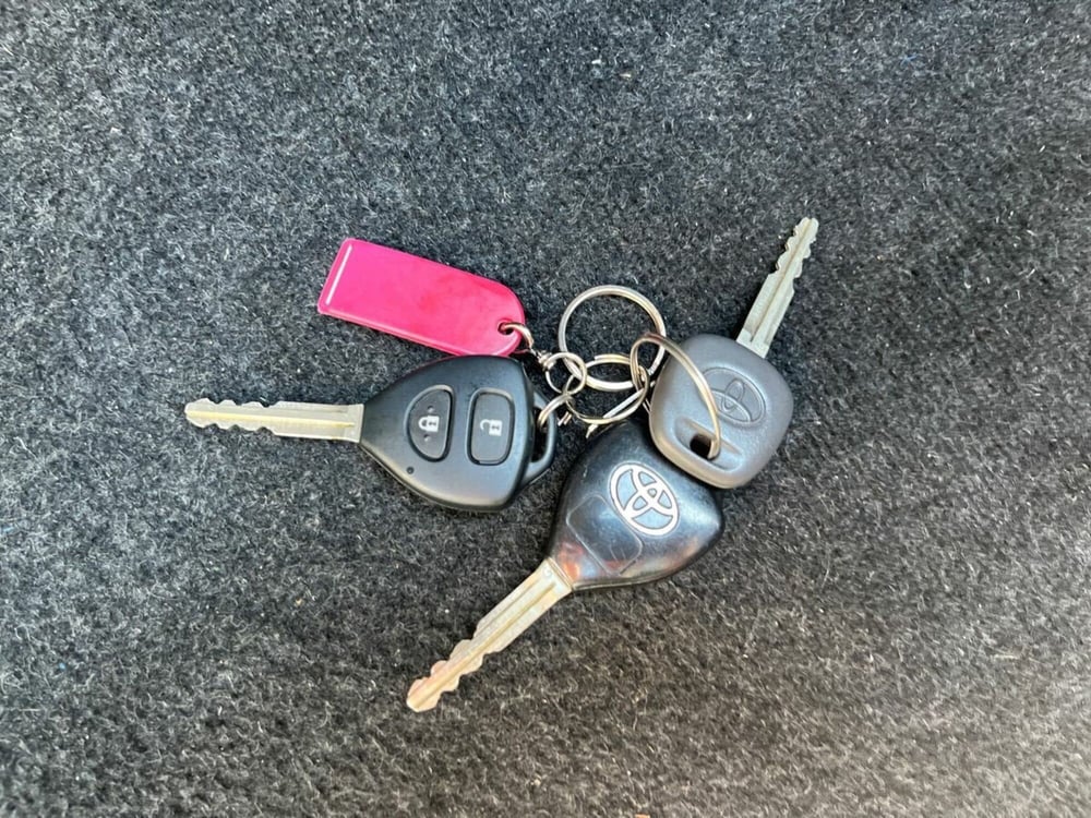 Toyota Rav4 usata a Sondrio (17)