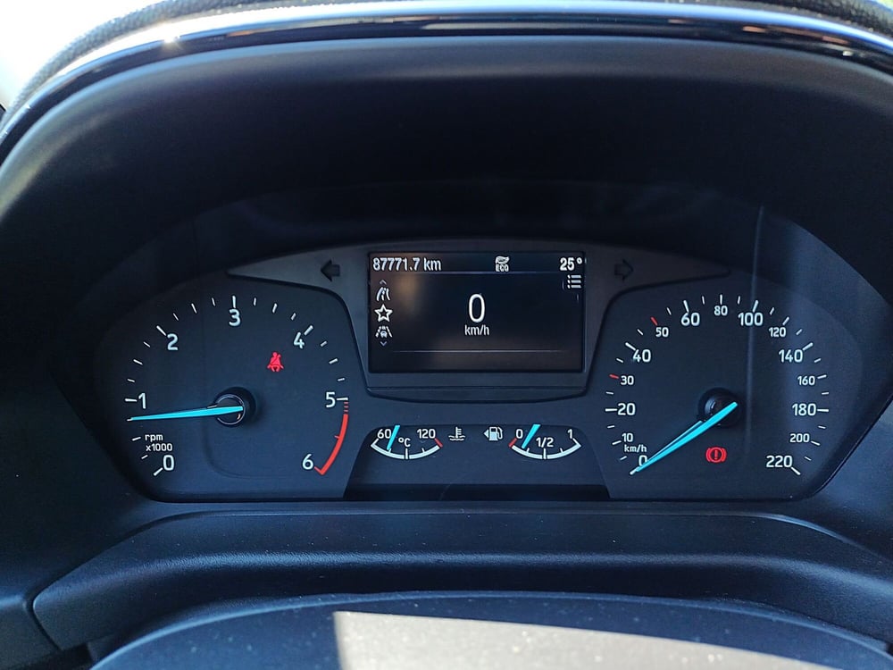 Ford Fiesta usata  (14)