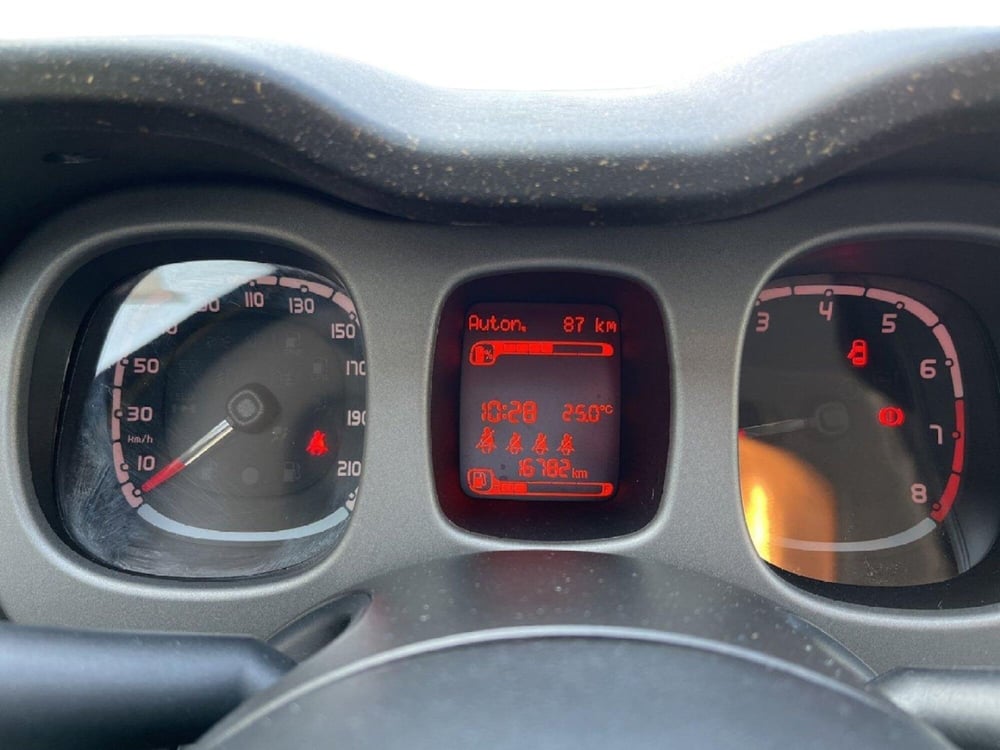 Fiat Panda Cross usata a Torino (13)