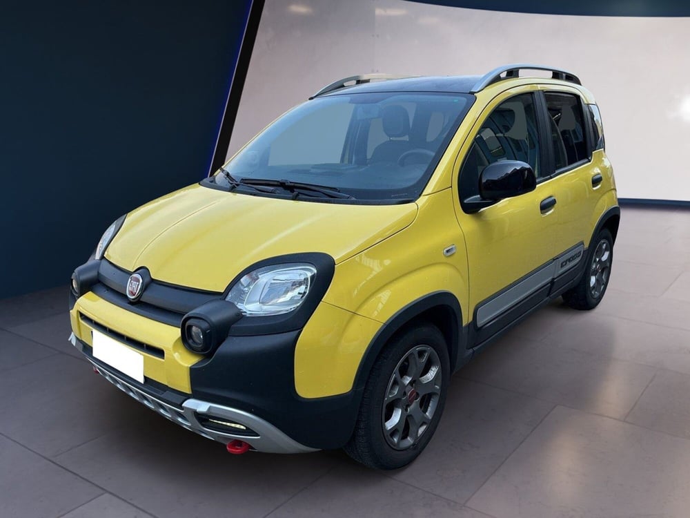 Fiat Panda Cross usata a Torino (2)