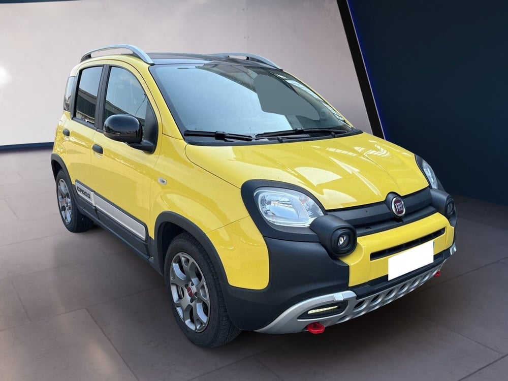 Fiat Panda Cross usata a Torino (3)
