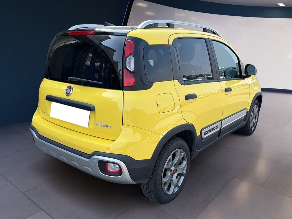 Fiat Panda Cross usata a Torino (4)