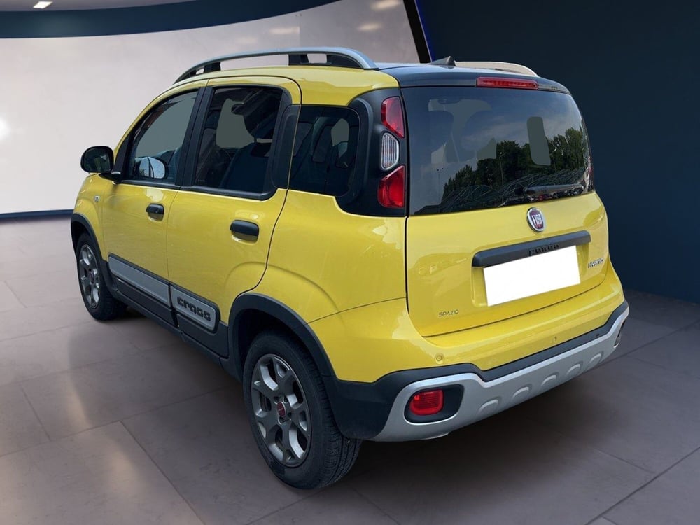 Fiat Panda Cross usata a Torino (5)