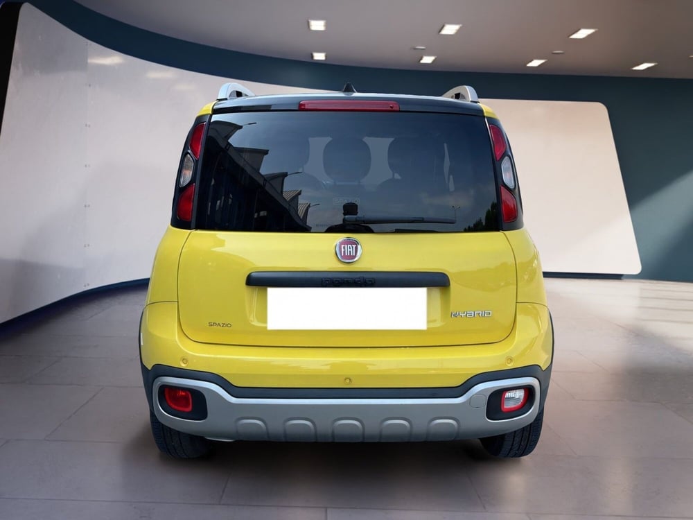Fiat Panda Cross usata a Torino (6)