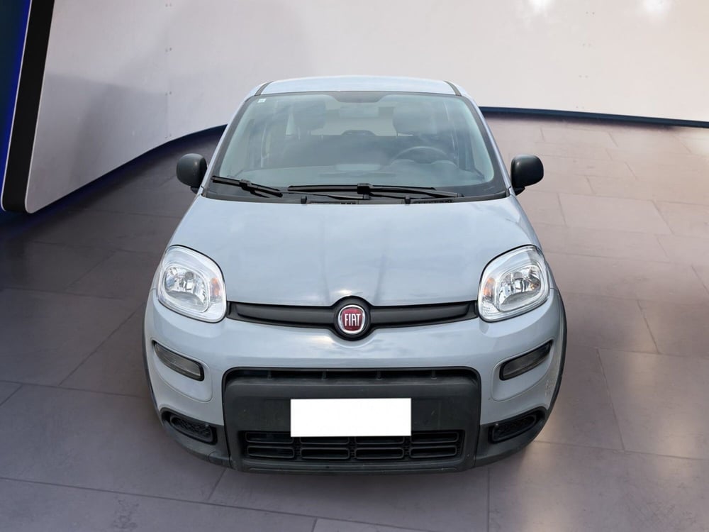 Fiat Panda usata a Torino
