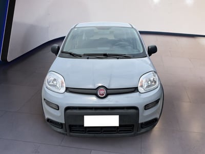 Fiat Panda 1.0 firefly hybrid s&amp;s 70cv 5p.ti del 2023 usata a Torino