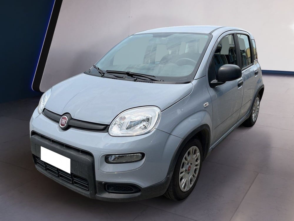 Fiat Panda usata a Torino (2)