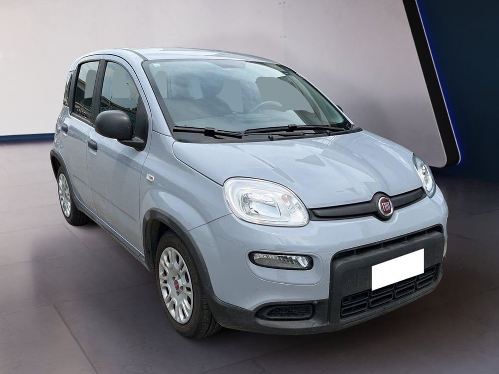 Fiat Panda usata a Torino (3)