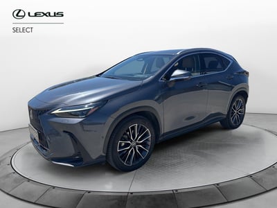 Lexus NX Hybrid 4WD Premium del 2022 usata a Melilli
