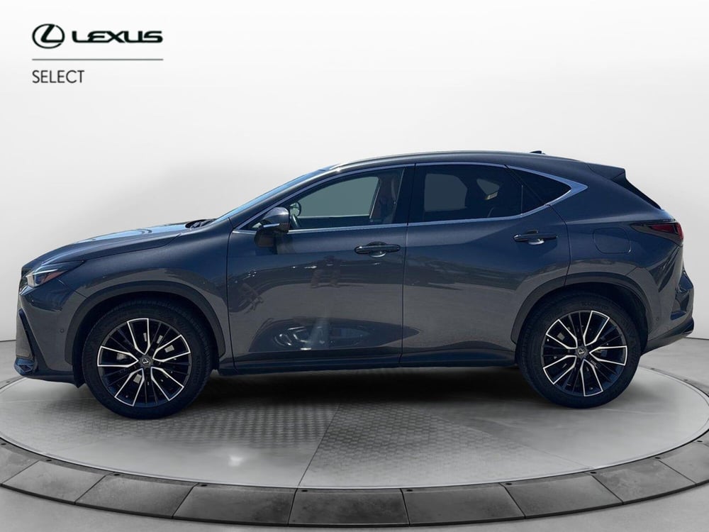 Lexus NX usata a Siracusa (2)