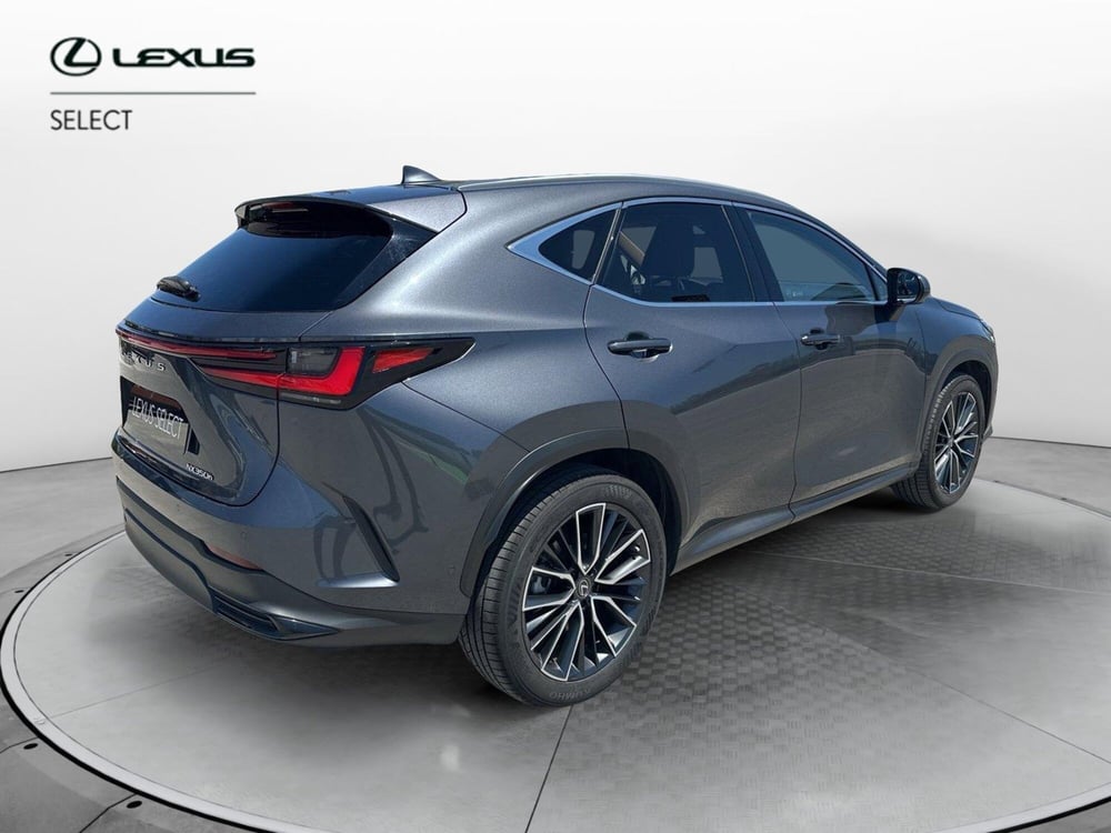 Lexus NX usata a Siracusa (3)