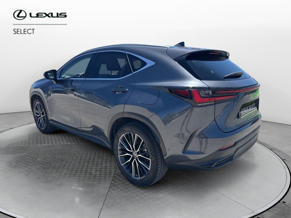 Lexus NX usata a Siracusa (4)
