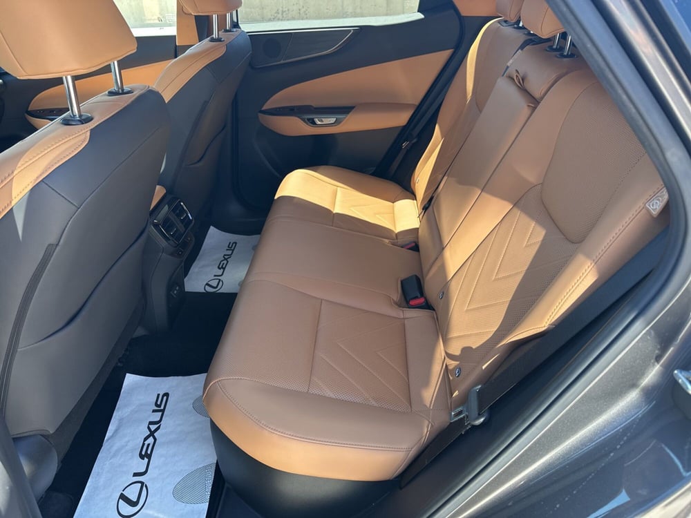 Lexus NX usata a Siracusa (7)