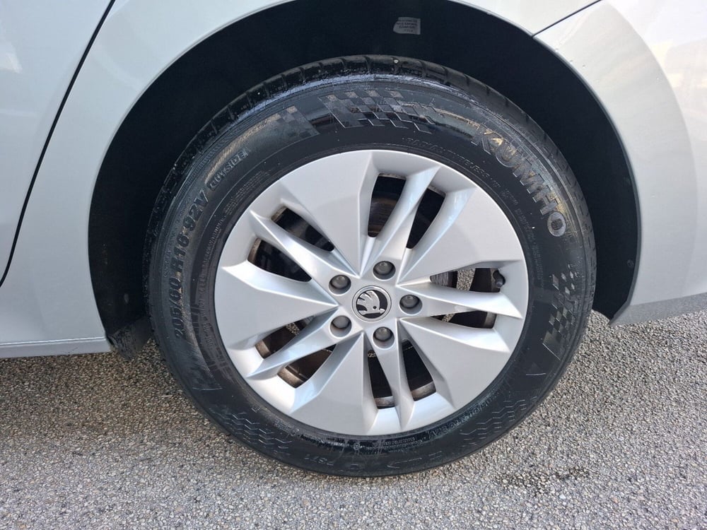 Skoda Octavia Station Wagon usata a Campobasso (15)