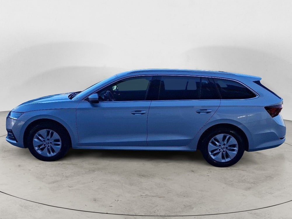 Skoda Octavia Station Wagon usata a Campobasso (2)