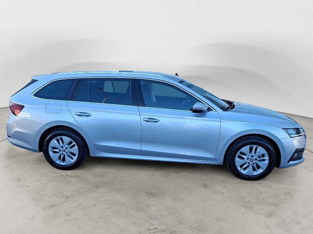 Skoda Octavia Station Wagon usata a Campobasso (5)
