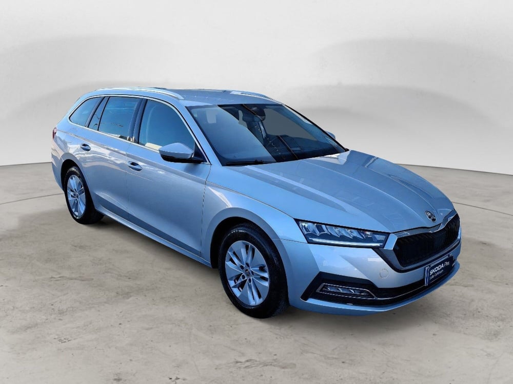 Skoda Octavia Station Wagon usata a Campobasso (6)