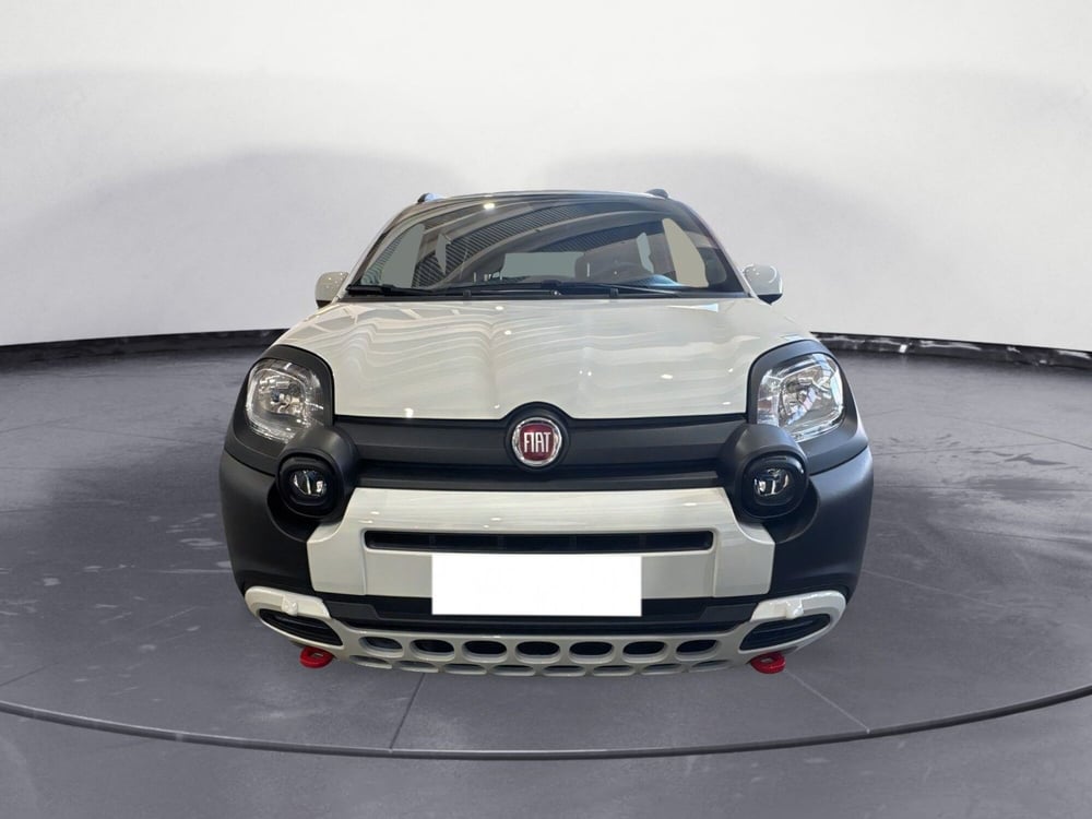 Fiat Panda usata a Caltanissetta (5)