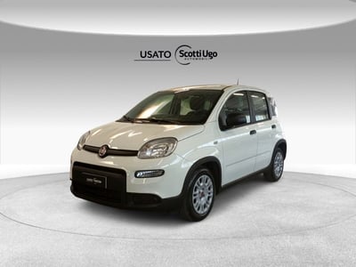 Fiat Panda 1.0 firefly hybrid s&amp;s 70cv 5p.ti del 2023 usata a Sinalunga