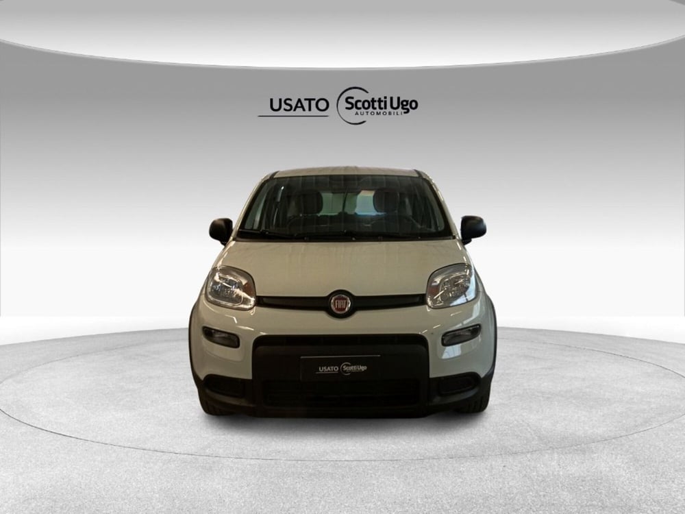 Fiat Panda usata a Siena (2)
