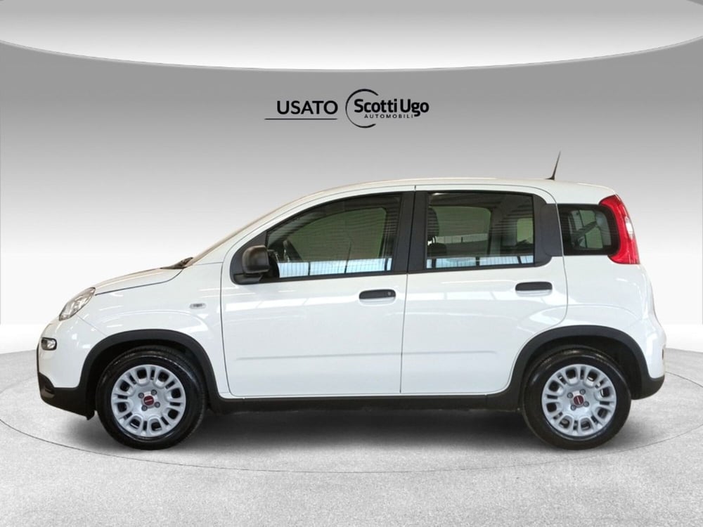 Fiat Panda usata a Siena (3)
