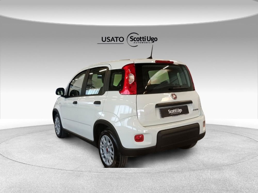 Fiat Panda usata a Siena (4)