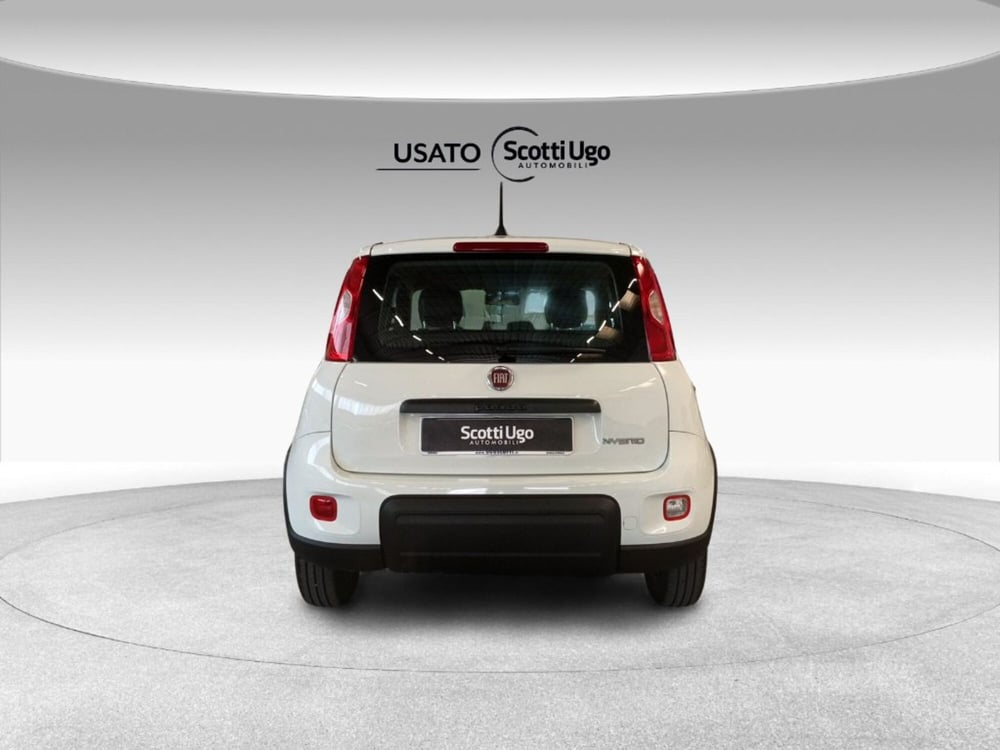 Fiat Panda usata a Siena (5)
