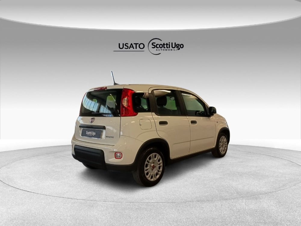 Fiat Panda usata a Siena (6)