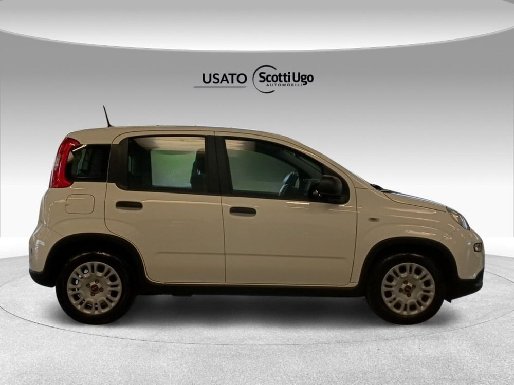 Fiat Panda usata a Siena (7)