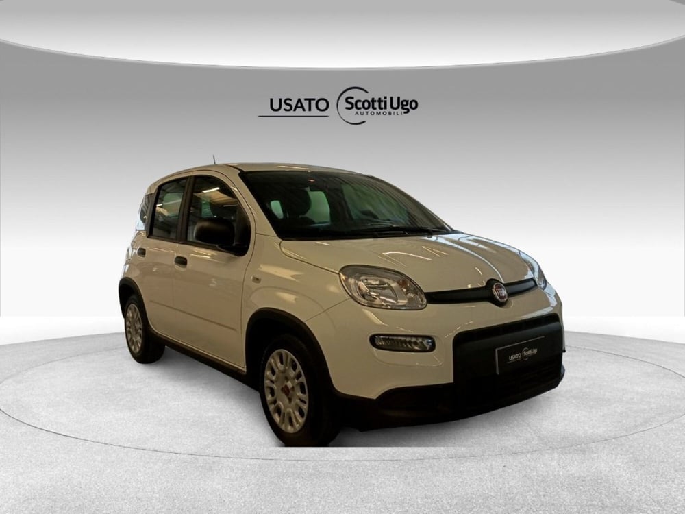 Fiat Panda usata a Siena (8)
