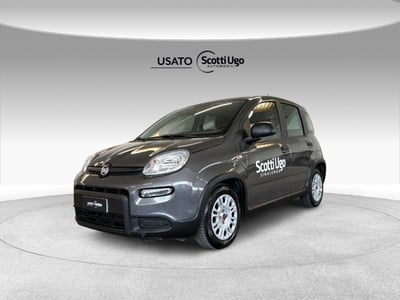 Fiat Panda 1.0 firefly hybrid s&amp;s 70cv 5p.ti del 2023 usata a Sinalunga