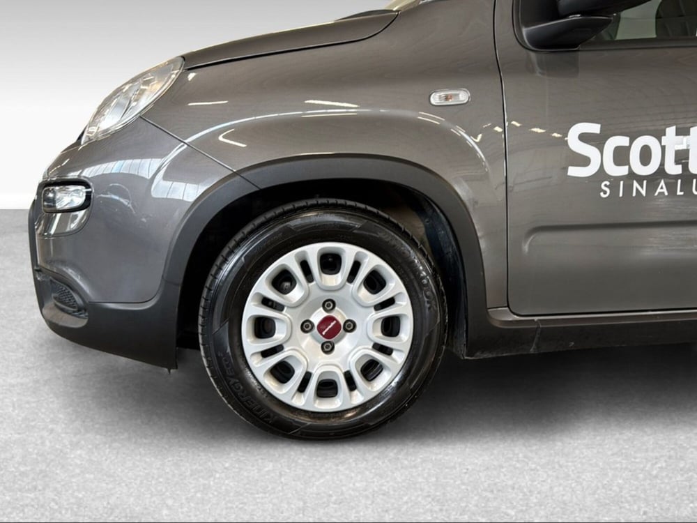 Fiat Panda usata a Siena (2)