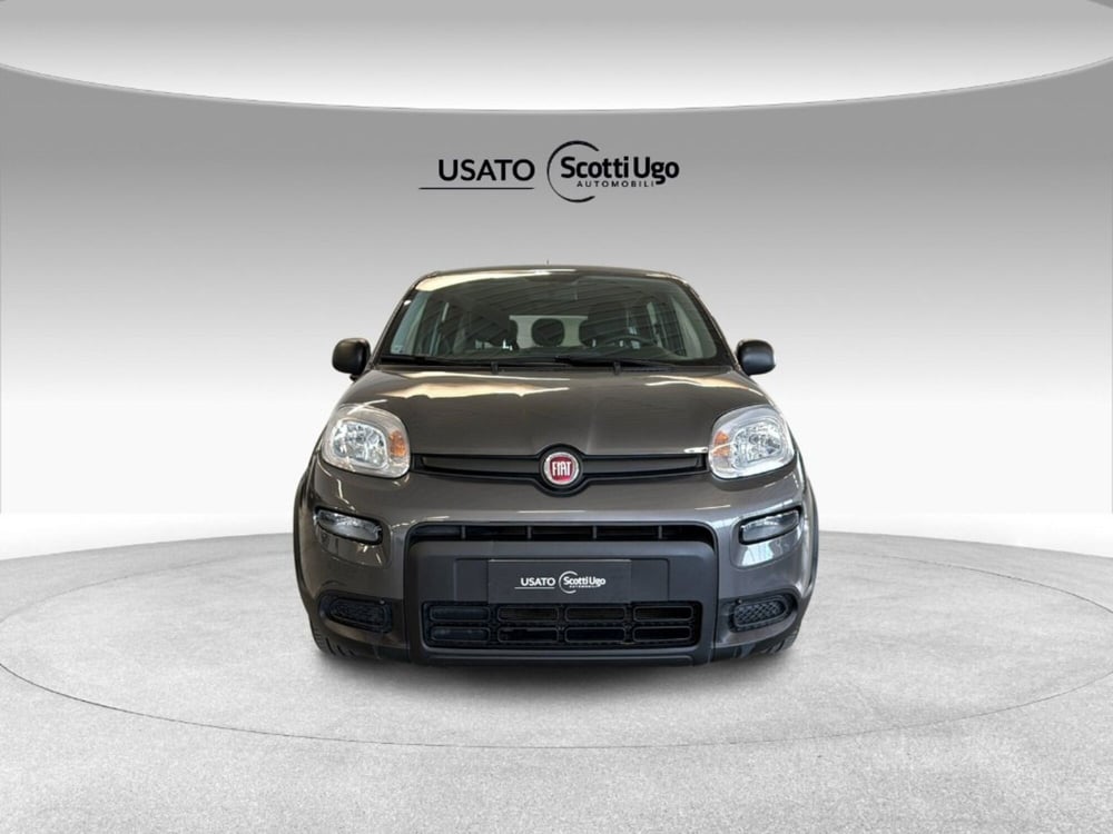 Fiat Panda usata a Siena (3)
