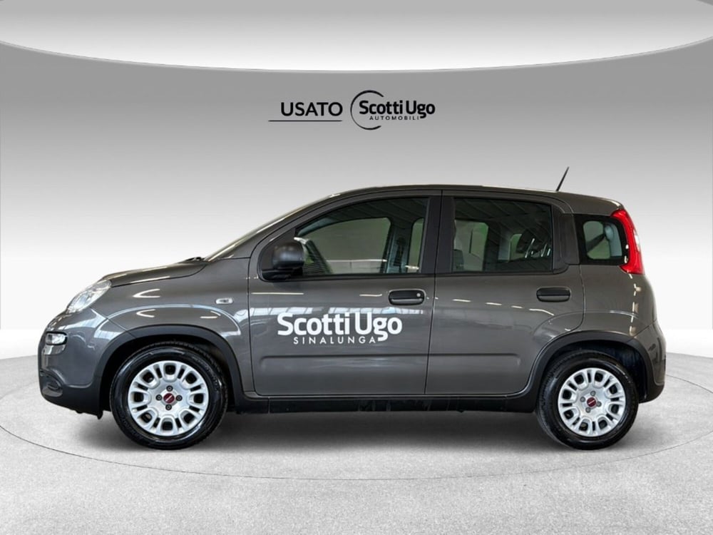 Fiat Panda usata a Siena (4)