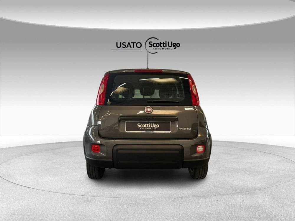 Fiat Panda usata a Siena (6)