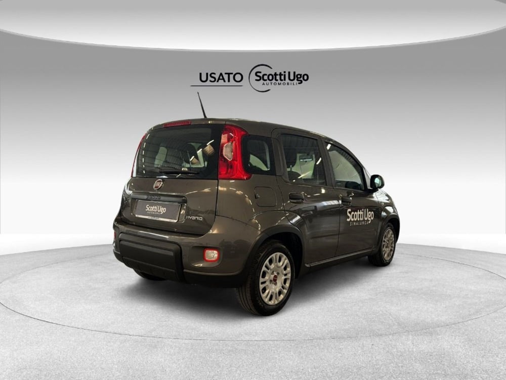 Fiat Panda usata a Siena (7)